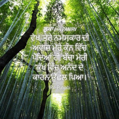 Picture 04 - ਲੂਕਾ 1:44 PANIRV - ਵੇਖ, ਤੇਰੇ ਨਮਸਕਾਰ ਦੀ - Bible Verse Picture