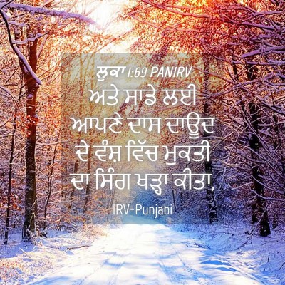 Picture 04 - ਲੂਕਾ 1:69 PANIRV - ਅਤੇ ਸਾਡੇ ਲਈ ਆਪਣੇ - Bible Verse Picture