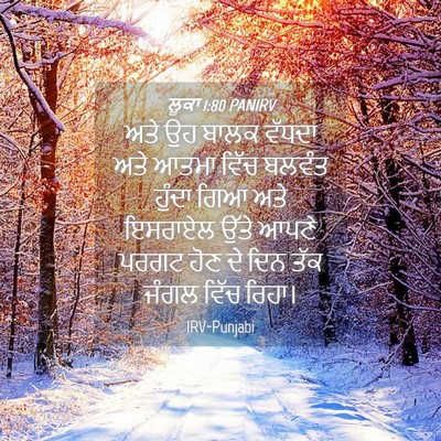Picture 04 - ਲੂਕਾ 1:80 PANIRV - ਅਤੇ ਉਹ ਬਾਲਕ ਵੱਧਦਾ - Bible Verse Picture