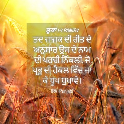 Picture 04 - ਲੂਕਾ 1:9 PANIRV - ਤਦ ਜਾਜਕ ਦੀ ਰੀਤ ਦੇ - Bible Verse Picture