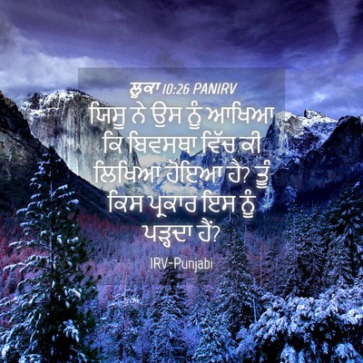 Picture 04 - ਲੂਕਾ 10:26 PANIRV - ਯਿਸੂ ਨੇ ਉਸ ਨੂੰ ਆਖਿਆ - Bible Verse Picture