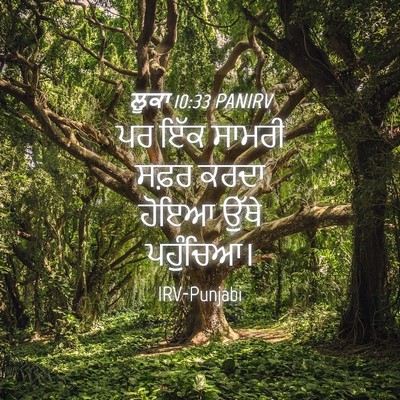 Picture 04 - ਲੂਕਾ 10:33 PANIRV - ਪਰ ਇੱਕ ਸਾਮਰੀ ਸਫ਼ਰ - Bible Verse Picture
