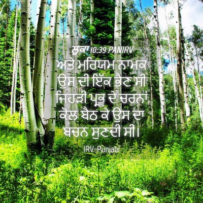 Picture 04 - ਲੂਕਾ 10:39 PANIRV - ਅਤੇ ਮਰਿਯਮ ਨਾਮਕ ਉਸ - Bible Verse Picture