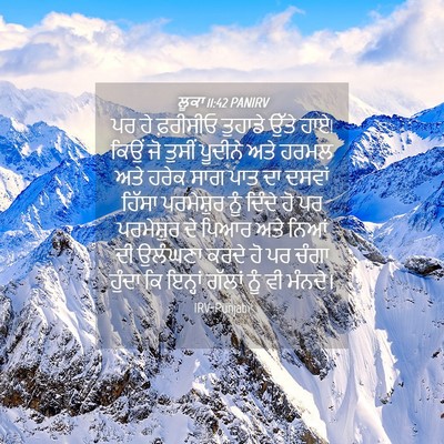 Picture 04 - ਲੂਕਾ 11:42 PANIRV - ਪਰ ਹੇ ਫ਼ਰੀਸੀਓ - Bible Verse Picture