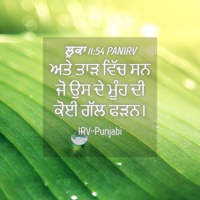 Picture 04 - ਲੂਕਾ 11:54 PANIRV - ਅਤੇ ਤਾੜ ਵਿੱਚ ਸਨ ਜੋ - Bible Verse Picture