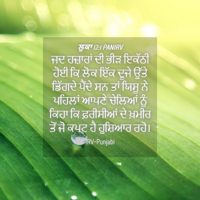 Picture 04 - ਲੂਕਾ 12:1 PANIRV - ਜਦ ਹਜ਼ਾਰਾਂ ਦੀ ਭੀੜ - Bible Verse Picture