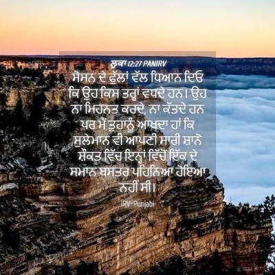 Picture 04 - ਲੂਕਾ 12:27 PANIRV - ਸੋਸਨ ਦੇ ਫੁੱਲਾਂ ਵੱਲ - Bible Verse Picture