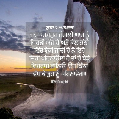 Picture 04 - ਲੂਕਾ 12:28 PANIRV - ਜਦ ਪਰਮੇਸ਼ੁਰ ਜੰਗਲੀ - Bible Verse Picture