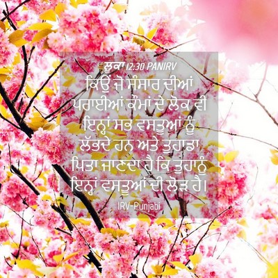 Picture 04 - ਲੂਕਾ 12:30 PANIRV - ਕਿਉਂ ਜੋ ਸੰਸਾਰ ਦੀਆਂ - Bible Verse Picture