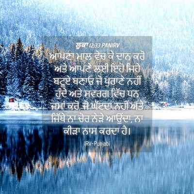 Picture 04 - ਲੂਕਾ 12:33 PANIRV - ਆਪਣਾ ਮਾਲ ਵੇਚ ਕੇ ਦਾਨ - Bible Verse Picture