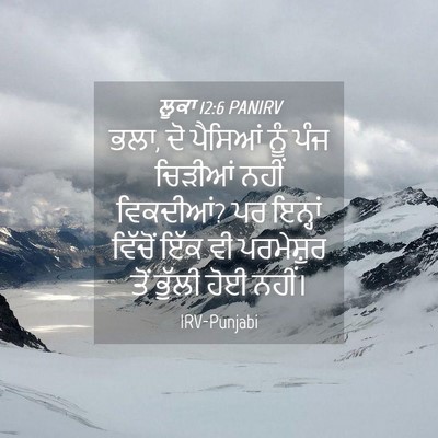 Picture 04 - ਲੂਕਾ 12:6 PANIRV - ਭਲਾ, ਦੋ ਪੈਸਿਆਂ ਨੂੰ - Bible Verse Picture