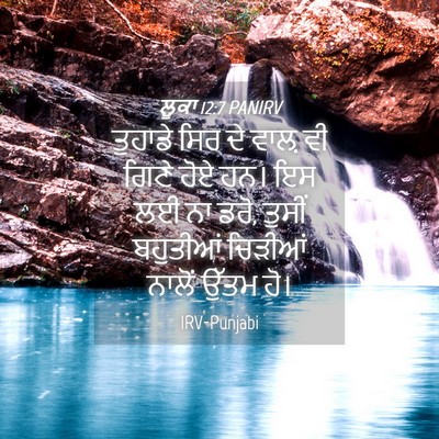 Picture 04 - ਲੂਕਾ 12:7 PANIRV - ਤੁਹਾਡੇ ਸਿਰ ਦੇ ਵਾਲ਼ - Bible Verse Picture