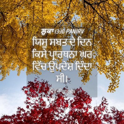 Picture 04 - ਲੂਕਾ 13:10 PANIRV - ਯਿਸੂ ਸਬਤ ਦੇ ਦਿਨ - Bible Verse Picture