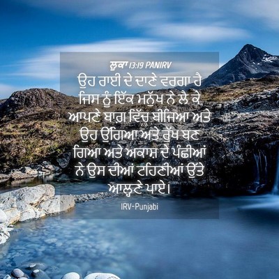 Picture 04 - ਲੂਕਾ 13:19 PANIRV - ਉਹ ਰਾਈ ਦੇ ਦਾਣੇ ਵਰਗਾ - Bible Verse Picture