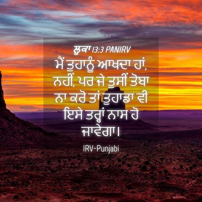 Picture 04 - ਲੂਕਾ 13:3 PANIRV - ਮੈਂ ਤੁਹਾਨੂੰ ਆਖਦਾ - Bible Verse Picture