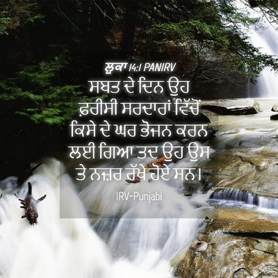 Picture 04 - ਲੂਕਾ 14:1 PANIRV - ਸਬਤ ਦੇ ਦਿਨ ਉਹ - Bible Verse Picture