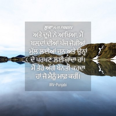 Picture 04 - ਲੂਕਾ 14:19 PANIRV - ਅਤੇ ਦੂਜੇ ਨੇ ਆਖਿਆ, - Bible Verse Picture