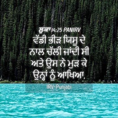 Picture 04 - ਲੂਕਾ 14:25 PANIRV - ਵੱਡੀ ਭੀੜ ਯਿਸੂ ਦੇ - Bible Verse Picture