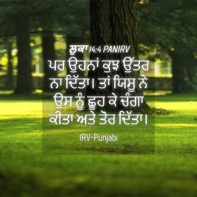Picture 04 - ਲੂਕਾ 14:4 PANIRV - ਪਰ ਉਹਨਾਂ ਕੁਝ ਉੱਤਰ - Bible Verse Picture