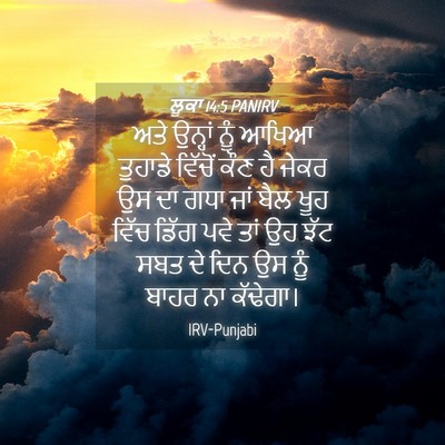 Picture 04 - ਲੂਕਾ 14:5 PANIRV - ਅਤੇ ਉਨ੍ਹਾਂ ਨੂੰ - Bible Verse Picture