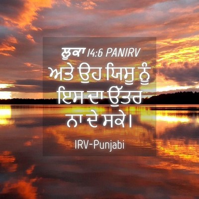 Picture 04 - ਲੂਕਾ 14:6 PANIRV - ਅਤੇ ਉਹ ਯਿਸੂ ਨੂੰ ਇਸ - Bible Verse Picture