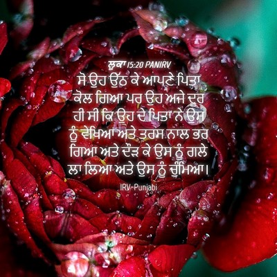 Picture 04 - ਲੂਕਾ 15:20 PANIRV - ਸੋ ਉਹ ਉੱਠ ਕੇ ਆਪਣੇ - Bible Verse Picture