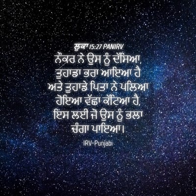 Picture 04 - ਲੂਕਾ 15:27 PANIRV - ਨੌਕਰ ਨੇ ਉਸ ਨੂੰ - Bible Verse Picture