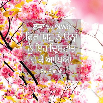 Picture 04 - ਲੂਕਾ 15:3 PANIRV - ਫਿਰ ਯਿਸੂ ਨੇ ਉਨ੍ਹਾਂ - Bible Verse Picture