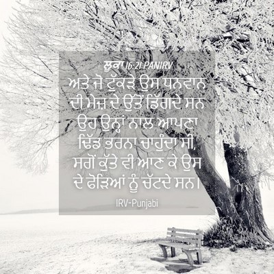 Picture 04 - ਲੂਕਾ 16:21 PANIRV - ਅਤੇ ਜੋ ਟੁੱਕੜੇ ਉਸ - Bible Verse Picture