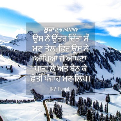 Picture 04 - ਲੂਕਾ 16:6 PANIRV - ਉਸ ਨੇ ਉੱਤਰ ਦਿੱਤਾ ਸੌ - Bible Verse Picture
