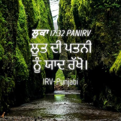 Picture 04 - ਲੂਕਾ 17:32 PANIRV - ਲੂਤ ਦੀ ਪਤਨੀ ਨੂੰ ਯਾਦ - Bible Verse Picture