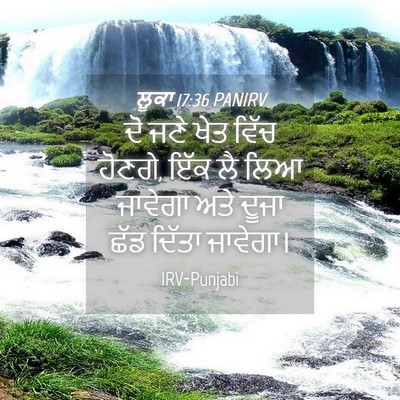 Picture 04 - ਲੂਕਾ 17:36 PANIRV - ਦੋ ਜਣੇ ਖੇਤ ਵਿੱਚ - Bible Verse Picture