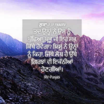 Picture 04 - ਲੂਕਾ 17:37 PANIRV - ਤਦ ਉਨ੍ਹਾਂ ਨੇ ਉਸ ਨੂੰ - Bible Verse Picture