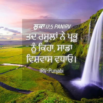 Picture 04 - ਲੂਕਾ 17:5 PANIRV - ਤਦ ਰਸੂਲਾਂ ਨੇ ਪ੍ਰਭੂ - Bible Verse Picture