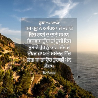Picture 04 - ਲੂਕਾ 17:6 PANIRV - ਪਰ ਪ੍ਰਭੂ ਨੇ ਆਖਿਆ, - Bible Verse Picture