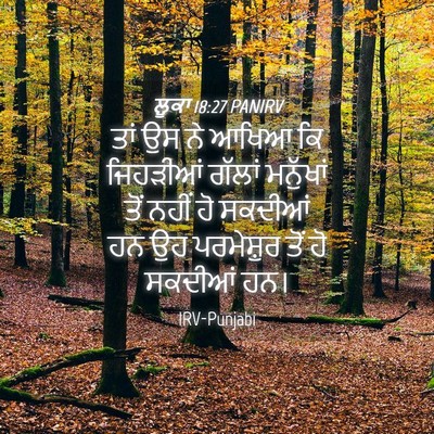 Picture 04 - ਲੂਕਾ 18:27 PANIRV - ਤਾਂ ਉਸ ਨੇ ਆਖਿਆ ਕਿ - Bible Verse Picture