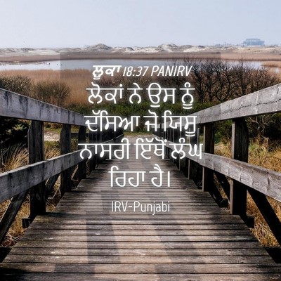 Picture 04 - ਲੂਕਾ 18:37 PANIRV - ਲੋਕਾਂ ਨੇ ਉਸ ਨੂੰ - Bible Verse Picture