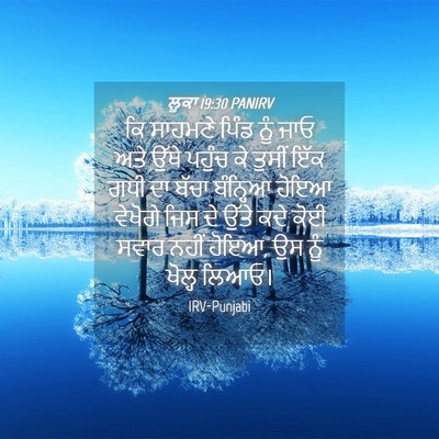 Picture 04 - ਲੂਕਾ 19:30 PANIRV - ਕਿ ਸਾਹਮਣੇ ਪਿੰਡ ਨੂੰ - Bible Verse Picture