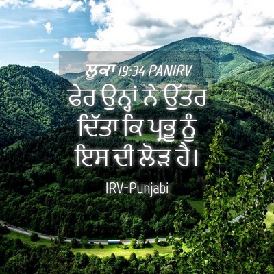Picture 04 - ਲੂਕਾ 19:34 PANIRV - ਫੇਰ ਉਨ੍ਹਾਂ ਨੇ ਉੱਤਰ - Bible Verse Picture