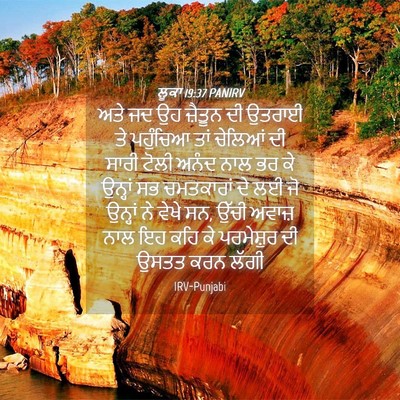 Picture 04 - ਲੂਕਾ 19:37 PANIRV - ਅਤੇ ਜਦ ਉਹ ਜ਼ੈਤੂਨ ਦੀ - Bible Verse Picture