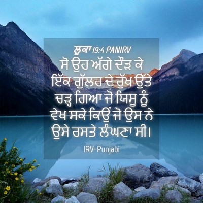 Picture 04 - ਲੂਕਾ 19:4 PANIRV - ਸੋ ਉਹ ਅੱਗੇ ਦੌੜ ਕੇ - Bible Verse Picture