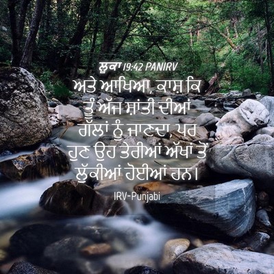 Picture 04 - ਲੂਕਾ 19:42 PANIRV - ਅਤੇ ਆਖਿਆ, ਕਾਸ਼ ਕਿ - Bible Verse Picture