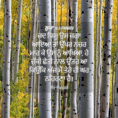 Picture 04 - ਲੂਕਾ 19:5 PANIRV - ਜਦ ਯਿਸੂ ਉਸ ਜਗਾ ਆਇਆ - Bible Verse Picture