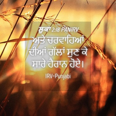 Picture 04 - ਲੂਕਾ 2:18 PANIRV - ਅਤੇ ਚਰਵਾਹਿਆਂ ਦੀਆਂ - Bible Verse Picture