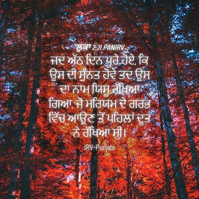 Picture 04 - ਲੂਕਾ 2:21 PANIRV - ਜਦ ਅੱਠ ਦਿਨ ਪੂਰੇ - Bible Verse Picture