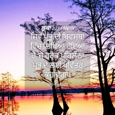 Picture 04 - ਲੂਕਾ 2:23 PANIRV - ਜਿਵੇਂ ਪ੍ਰਭੂ ਦੀ - Bible Verse Picture