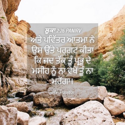 Picture 04 - ਲੂਕਾ 2:26 PANIRV - ਅਤੇ ਪਵਿੱਤਰ ਆਤਮਾ ਨੇ - Bible Verse Picture
