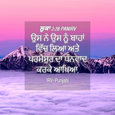 Picture 04 - ਲੂਕਾ 2:28 PANIRV - ਉਸ ਨੇ ਉਸ ਨੂੰ ਬਾਹਾਂ - Bible Verse Picture