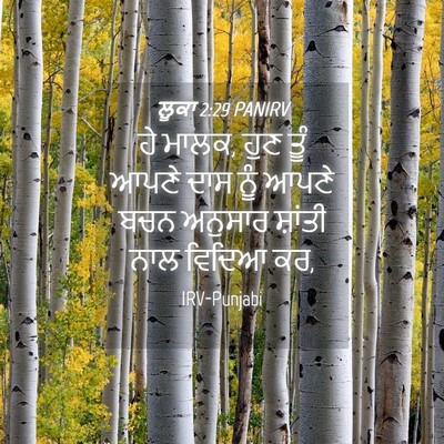 Picture 04 - ਲੂਕਾ 2:29 PANIRV - ਹੇ ਮਾਲਕ, ਹੁਣ ਤੂੰ - Bible Verse Picture