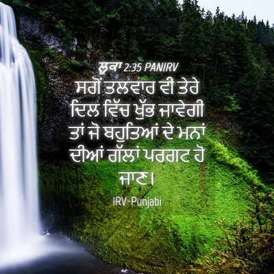 Picture 04 - ਲੂਕਾ 2:35 PANIRV - ਸਗੋਂ ਤਲਵਾਰ ਵੀ ਤੇਰੇ - Bible Verse Picture